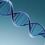 Выявлены гены, влияющие на развитие рака простаты