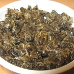Лечение аденомы простаты пчелиным подмором